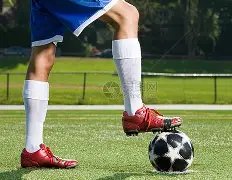 揭秘多纳鲁,马倒地真相,法尔克强调,pg286娱乐官网,pg286娱乐百家乐,pg286娱乐视讯平台,pg286娱乐电子游戏,pg286娱乐体育电竞,pg286娱乐棋牌彩票